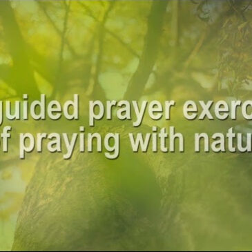 Praying with Nature with Fr Jojo M Fung SJ